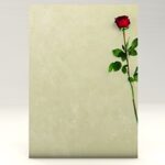 Red Rose Fantastic Stationery Set Containing 20 Sheets and 20 Matching Envelopes